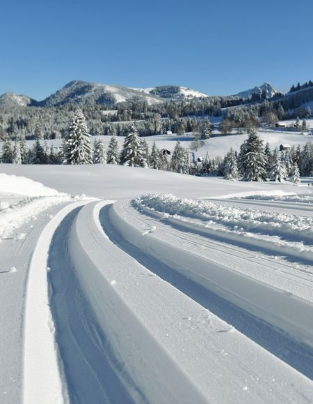 Loipen Im Allg U Langlaufen In Oberjoch Bad Hindelang